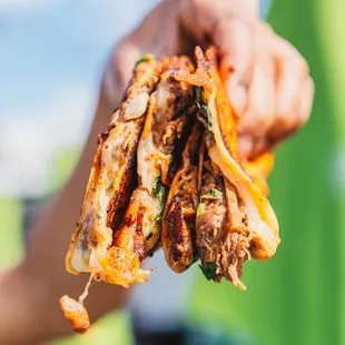 a hand holding a taco sandwich