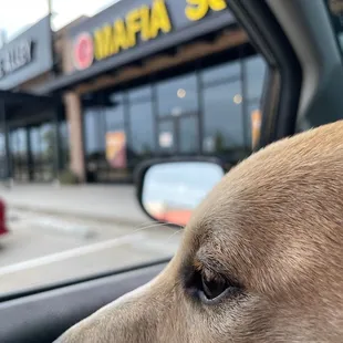 Minnie and I waited for the Mrs. to return with our take-out order.