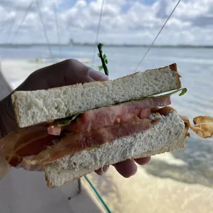 fresh never canned tuna sandwich adding bacon and toasted Texas bread it was awesome