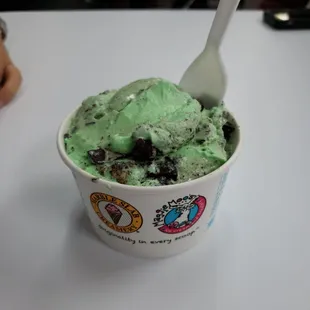 Maggie moos