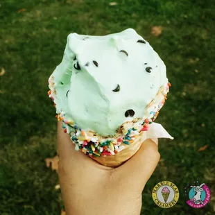 Cool Mint and Chocolate Chips