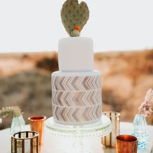 a cake with a cactus on top