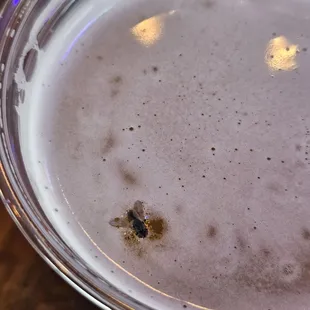 Bud light on tap with a side of fly