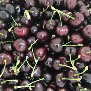 Freshly picked cherries  from Maggiore Ranch