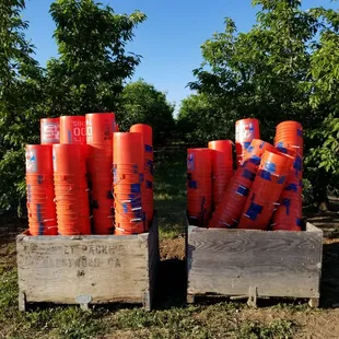 Forget your bucket, they got you covered.