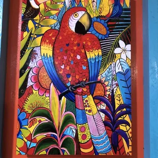 a colorful parrot