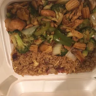 Kung Pao with fried rice