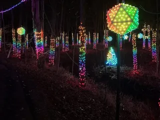 Lucy Depp Park Light Show