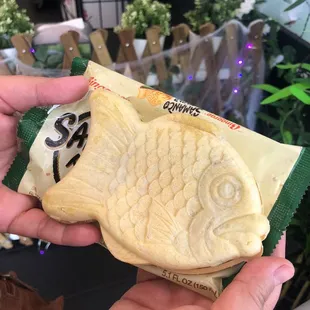 Frozen pre made ice cream treat- taste a bit like freezer burn