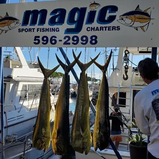 Magic Sport Fishing