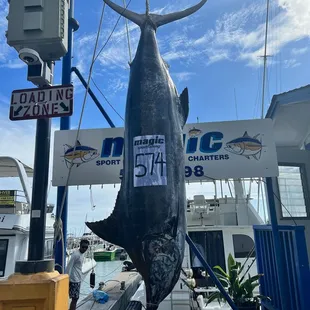 Magic sport fishing making dreams come true!!