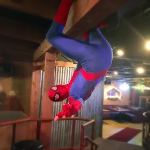 Spider Man hanging around.