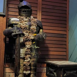 a man dressed in armor