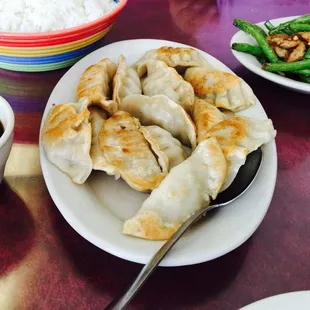 fried dumplings