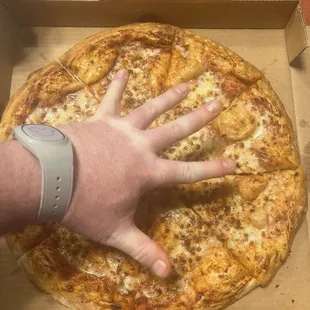 This is what is supposed to be an Extra Large