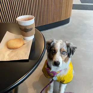 Pan de bono &amp; Milo