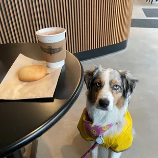 Guava pan de bono &amp; Milo