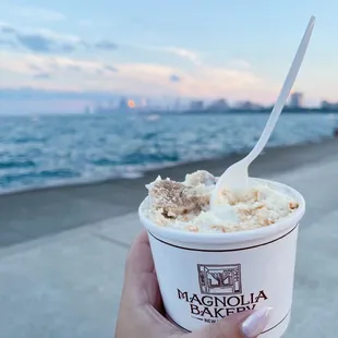 a hand holding a cup of ice cream