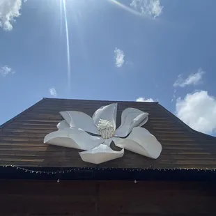 Outside.... Momma loves magnolias.