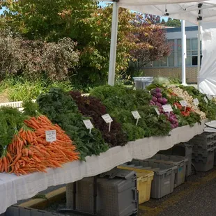 a table of fresh vegetables