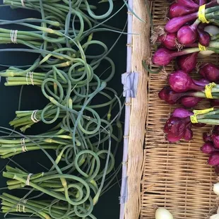 baskets of onions and onions