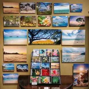 Honolulu photographer Kelly Rice has an art walk all of her own.