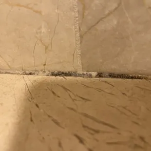 Mold in the shower, this is just one spot it was growing.
