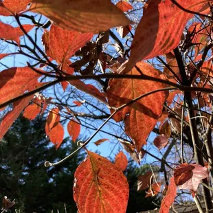 Fall is especially colorful.
