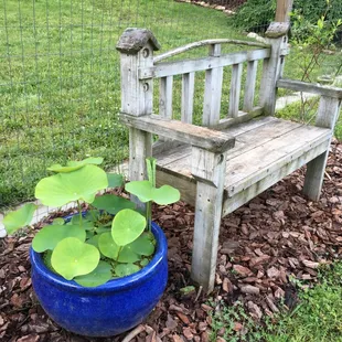 lots of places to sit and reflect or watch wildlife or just enjoy an adult beverage