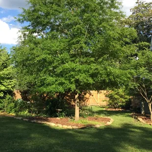 you'd never know that behind that fence is a bustling Hwy 321.