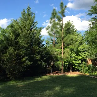 private gardens with lots of afternoon shade