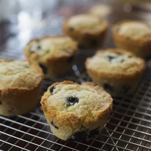 Full Delicious Breakfast Served Daily~Joyce&apos;s Muffins