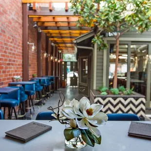 The Patio and Walkway