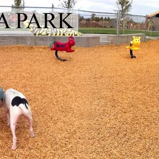 Children's Play Area ('And HAPA's too!)