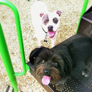 Children's Play Area (Say hello to the "children.")