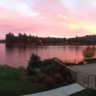 the view of the lake from the patio