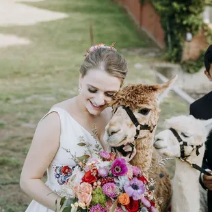 The bouquet (and alpacas of course) (Photographer: Photography and design by Lauren)