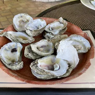 Already devoured oysters, couldn&apos;t wait lol