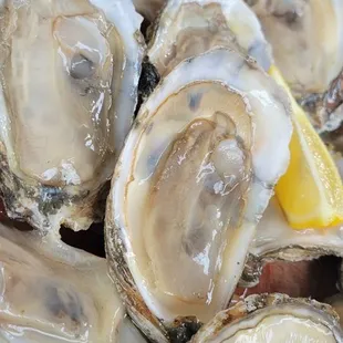 a plate of oysters