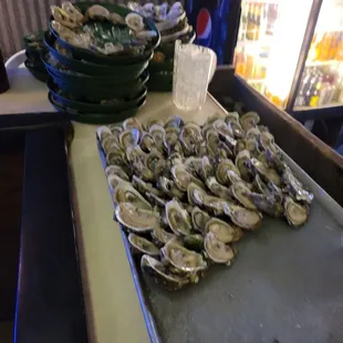 Oysters on que busy day