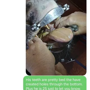 Message about how old he really is. Not the response you want to go from 30 plus years experience. Neglect and abuse Shelly made him work.