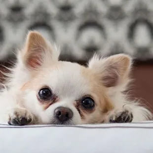 MH ElPasoWest ElPaso TX Property Amenity