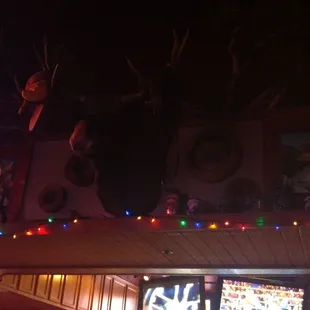 Yes that is a moose head with a brah amazing