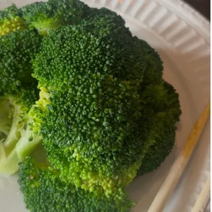 pasta, food, pasta dish