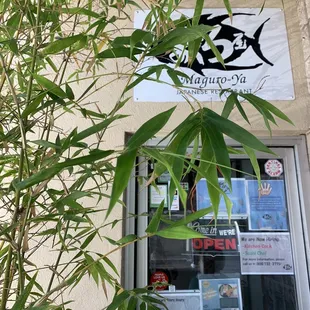 Entrance from parking lot