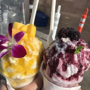 Mango and Mixed Berry