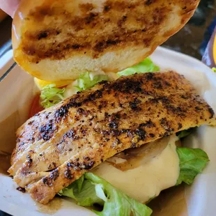 Mahi mahi burger
