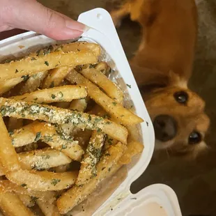 ramen and noodles, food