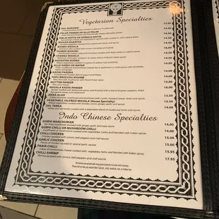 Vegetarian and Indo Chinese specialties