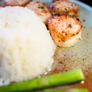 Wild Sea Scallops